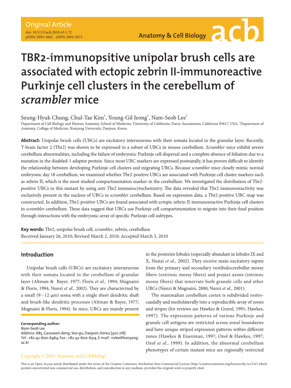 TBR2-Immunopsitive Unipolar Brush Cells Are Associated with Ectopic Zebrin II-Immunoreactive Purkinje Cell Clusters in the Cerebellum of Scrambler Mice