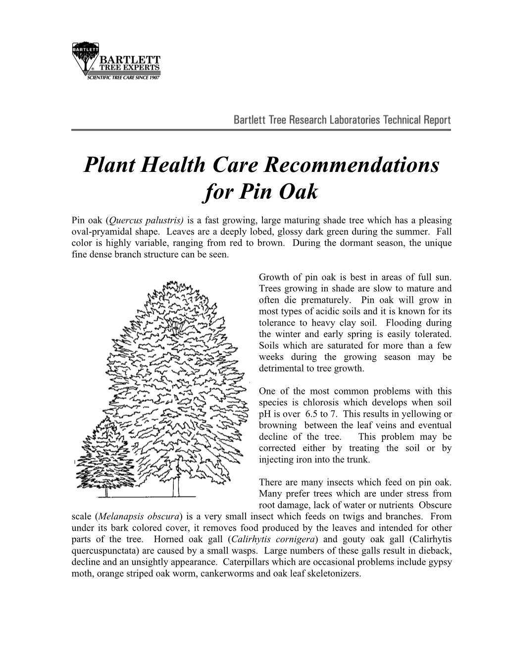 Plant Health Care Recommendations for Pin Oak