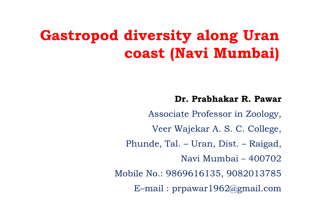 Gastropod Diversity Along Uran Coast (Navi Mumbai)