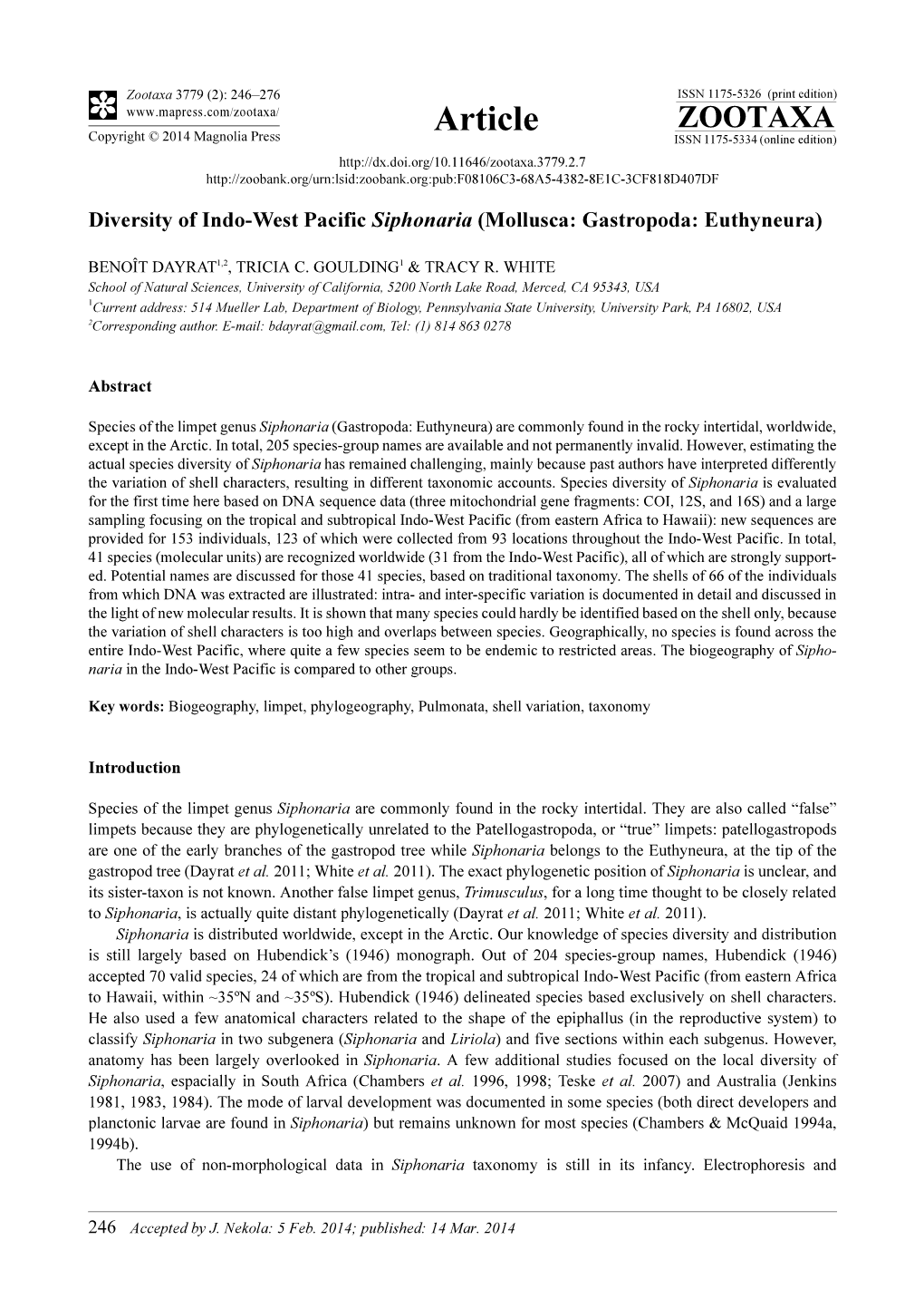 Diversity of Indo-West Pacific Siphonaria (Mollusca: Gastropoda: Euthyneura)