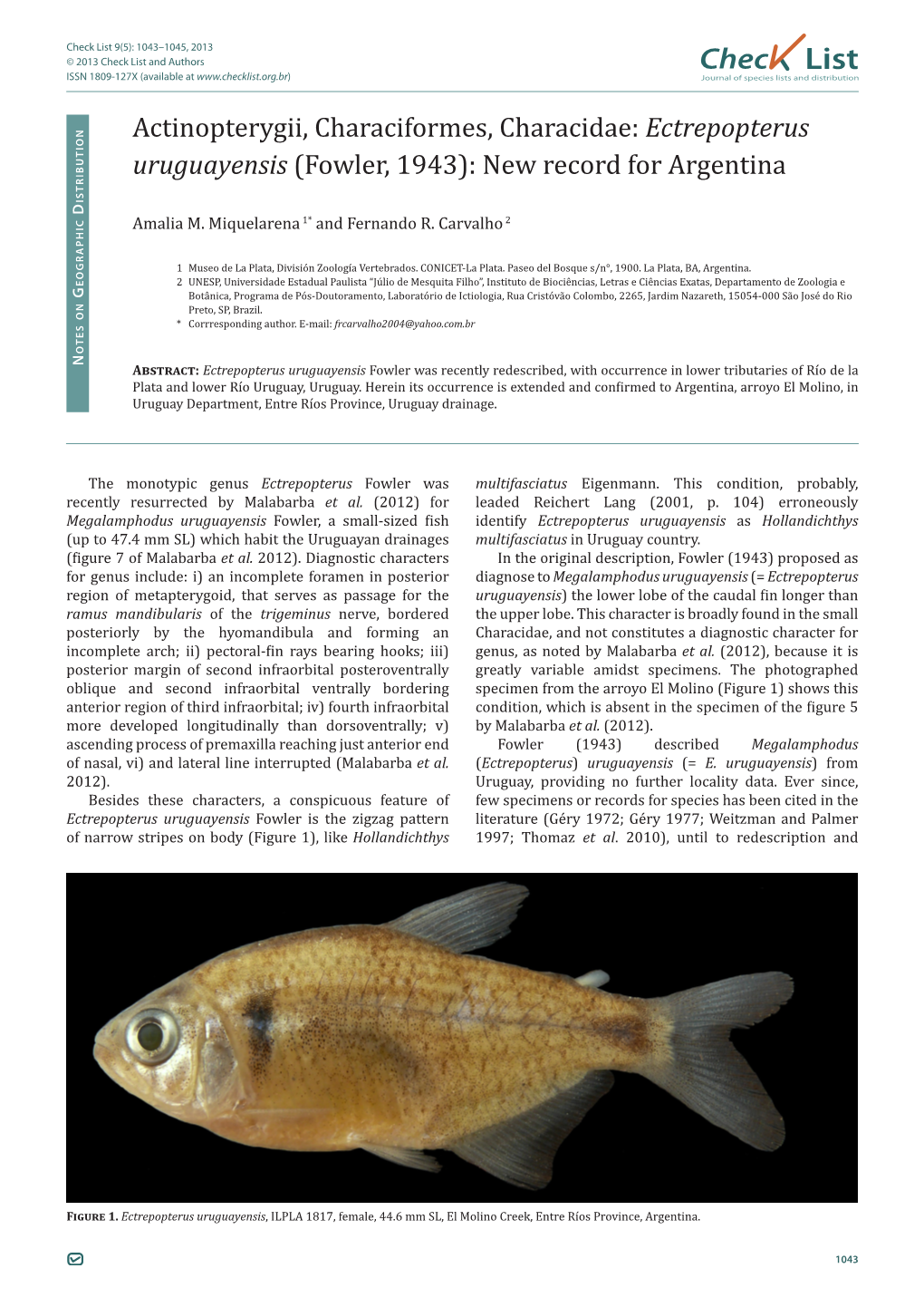 Ectrepopterus Uruguayensis (Fowler, 1943): New Record for Argentina