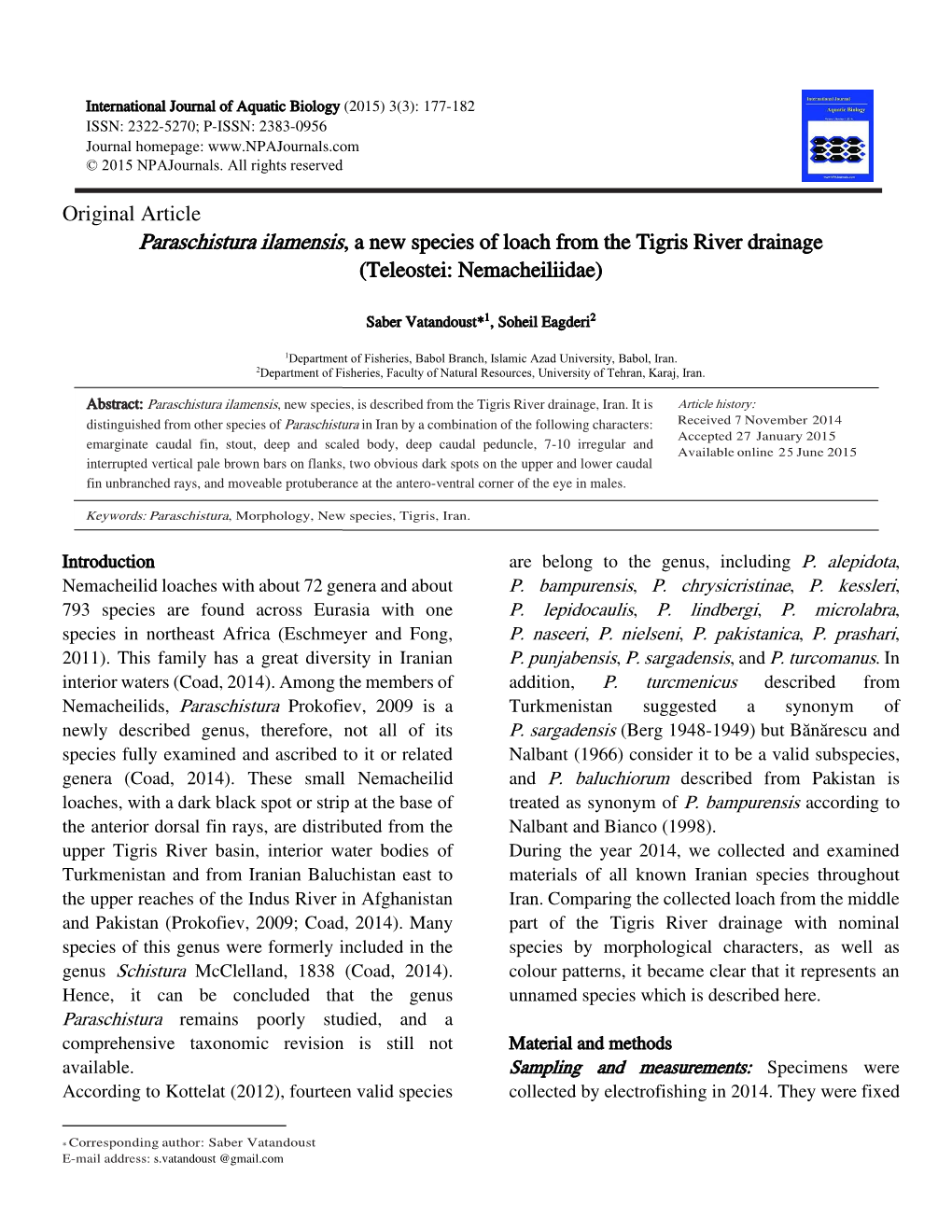 Original Article Paraschistura Ilamensis, a New Species of Loach from the Tigris River Drainage (Teleostei: Nemacheiliidae)