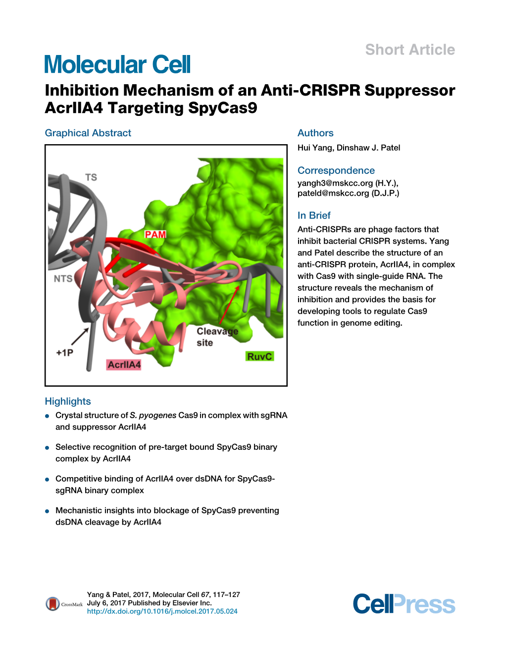 Inhibition Mechanism of an Anti-CRISPR Suppressor Acriia4 Targeting Spycas9