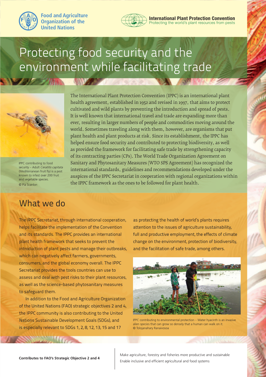 Protecting Food Security and the Environment While Facilitating Trade