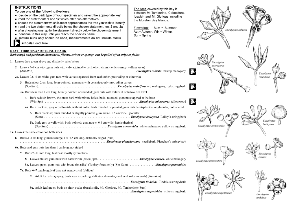 Key to Eucalypts of Greater Brisbane