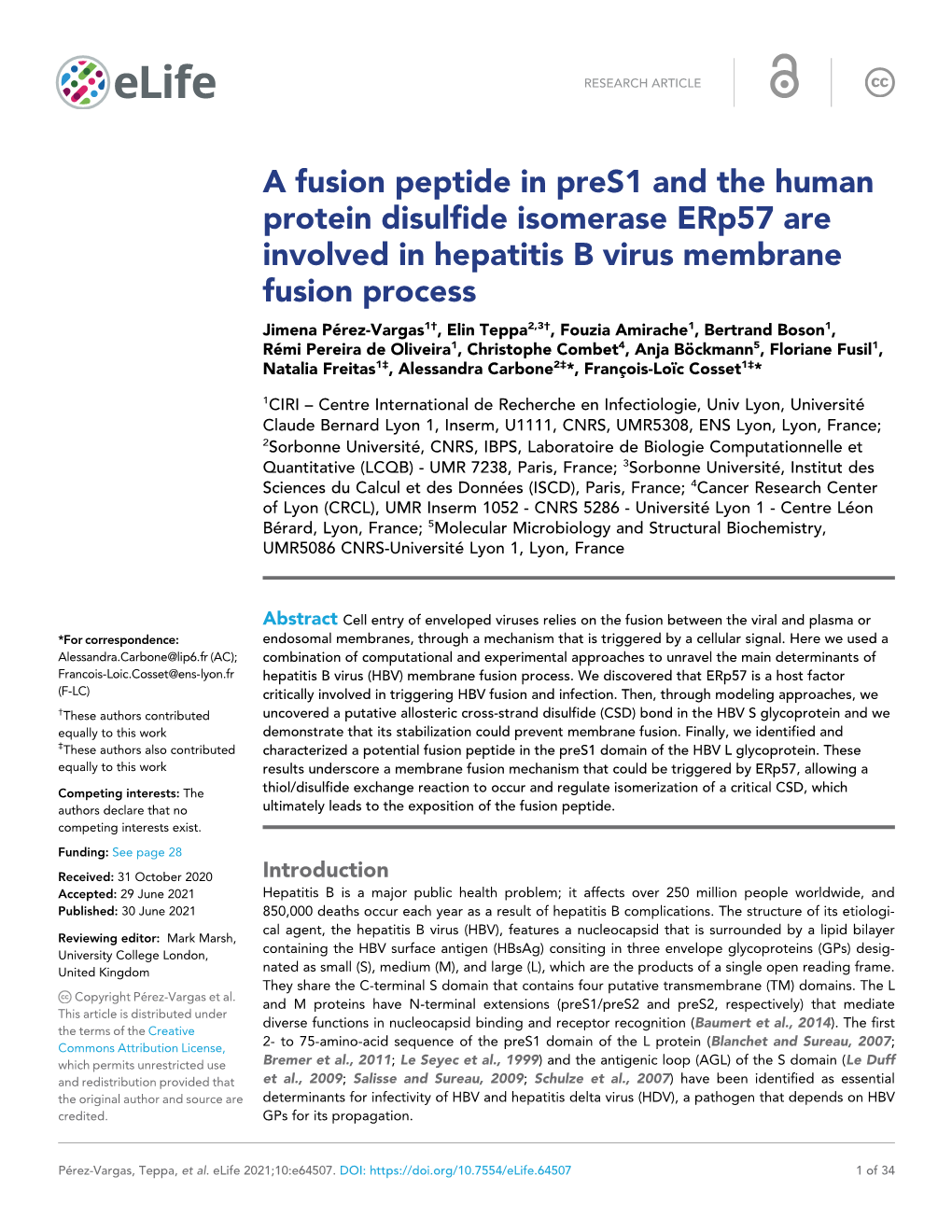 A Fusion Peptide in Pres1 and the Human Protein Disulfide Isomerase