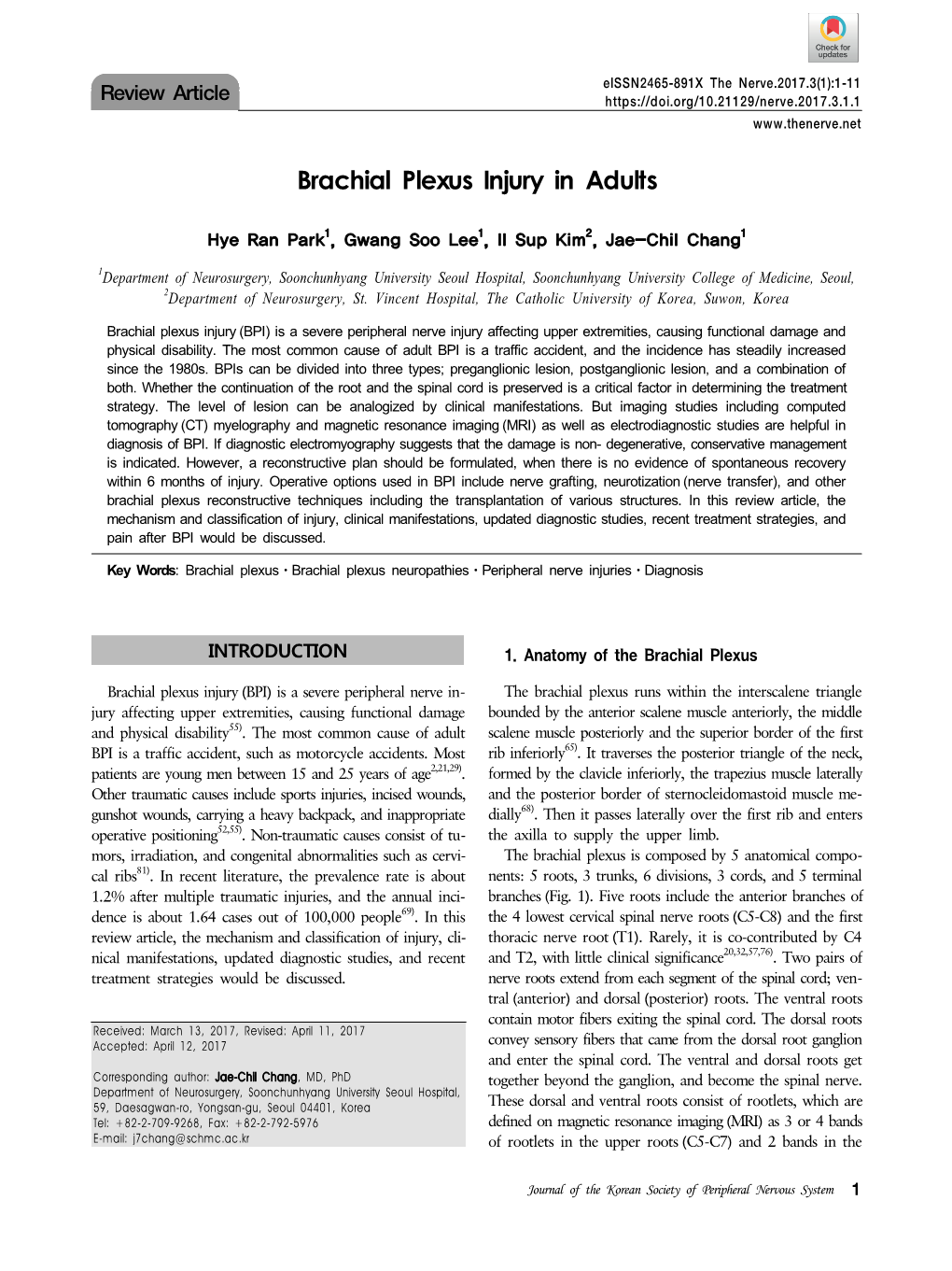 Brachial Plexus Injury in Adults