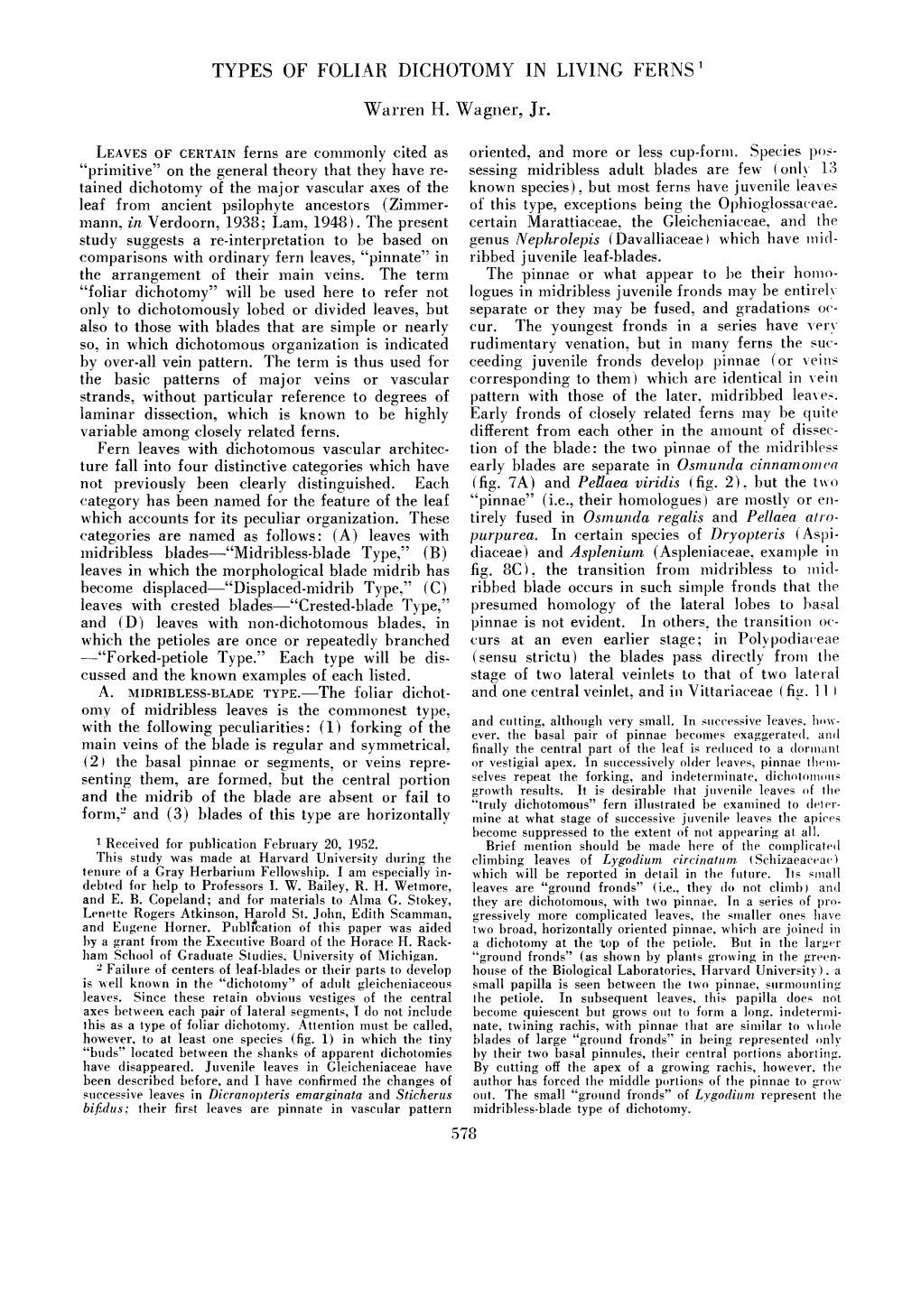 Types of Foliar Dichotomy in Living Ferns 1