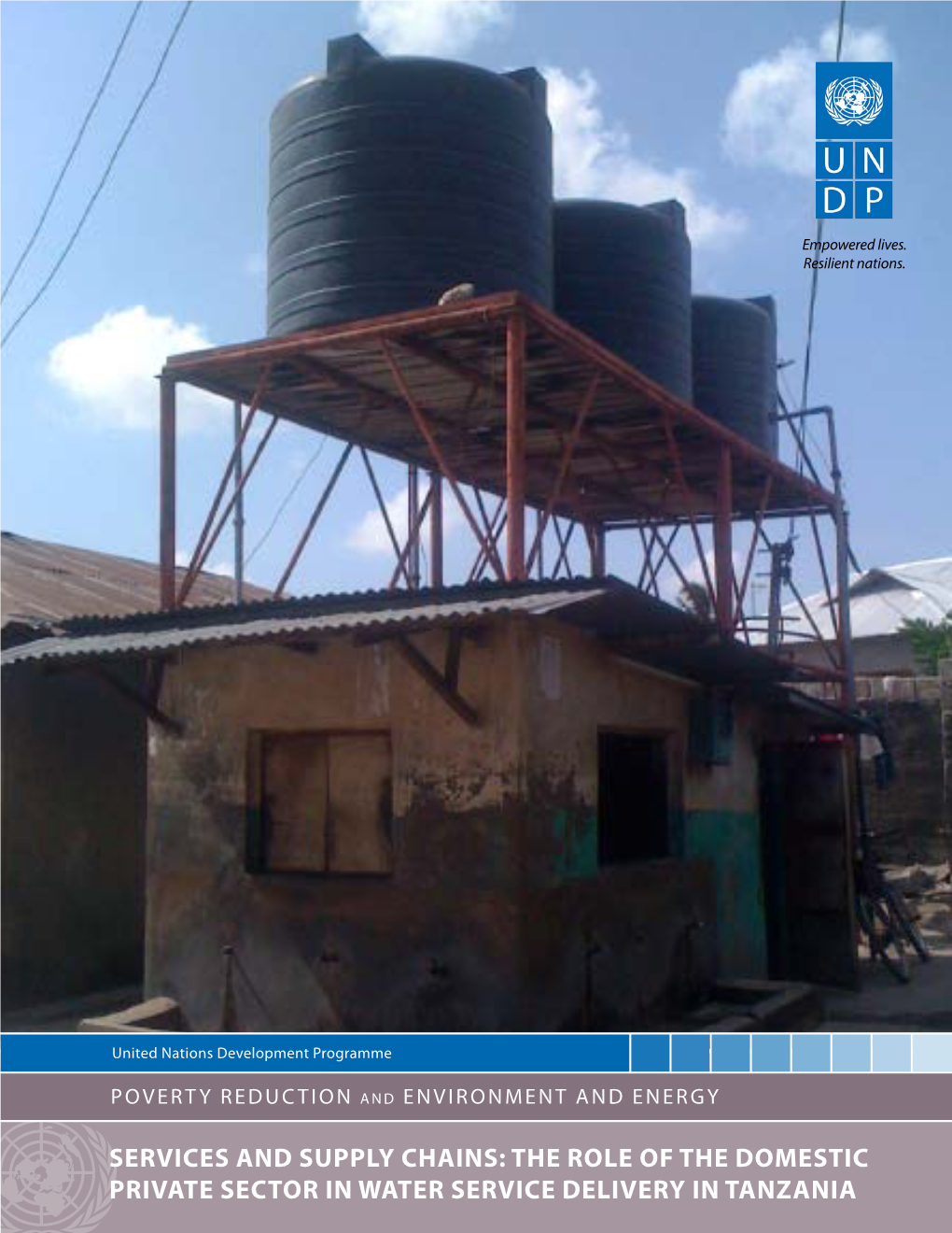 The Role of the Domestic Private Sector in Water Service Delivery in Tanzania Empowered Lives