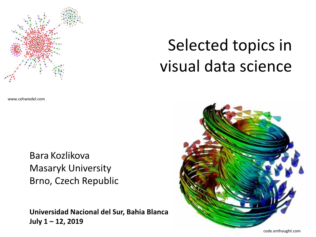 Selected Topics in Visual Data Science