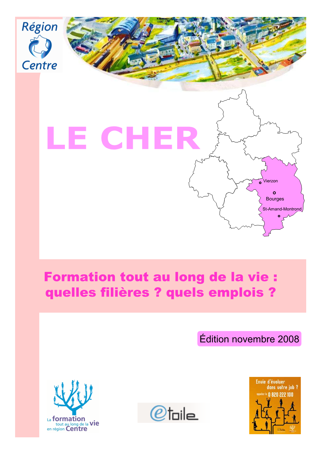 Formation Tout Au Long De La Vie : Quelles Filières ? Quels Emplois ?