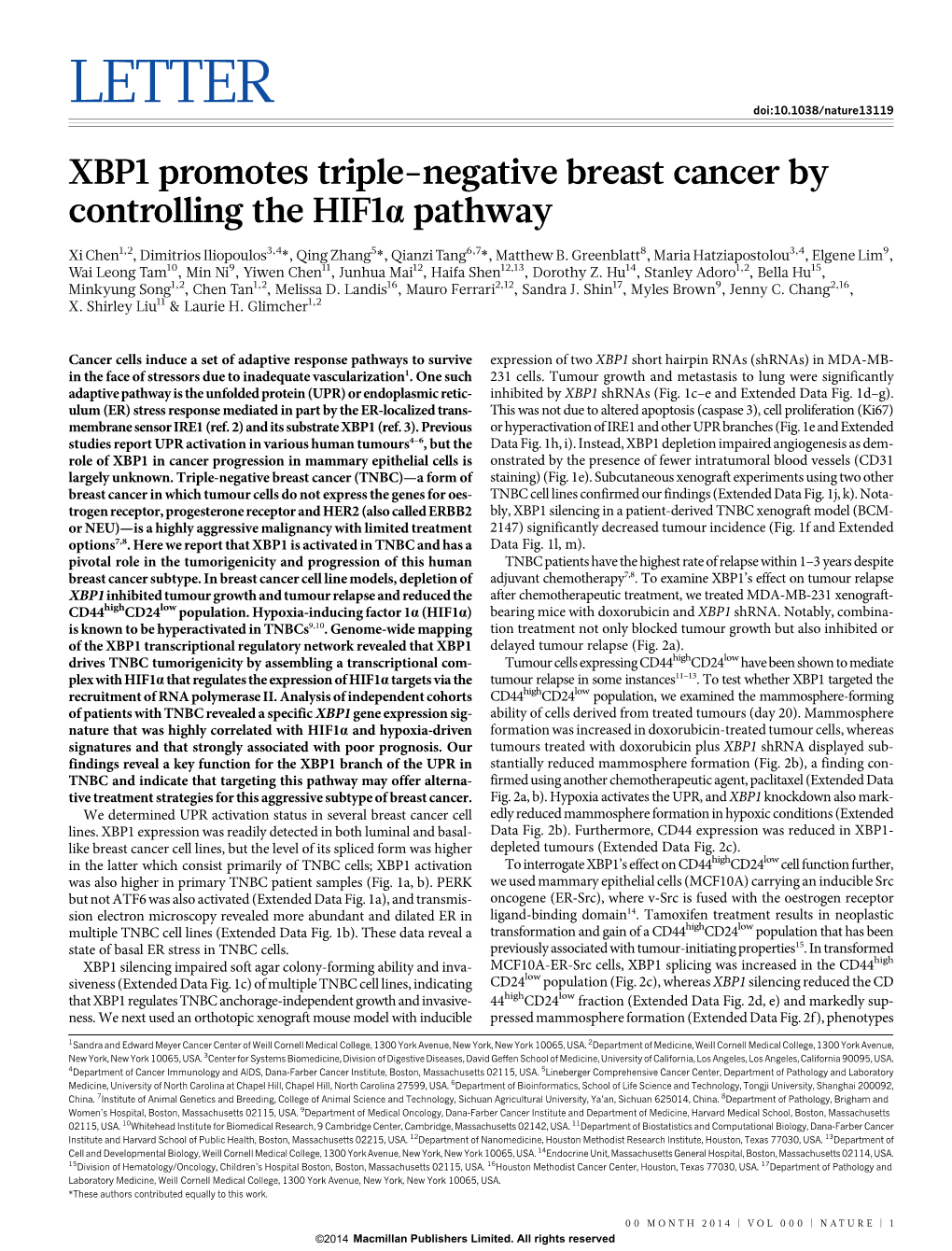 XBP1 Promotes Triple-Negative Breast Cancer by Controlling the Hif1α Pathway