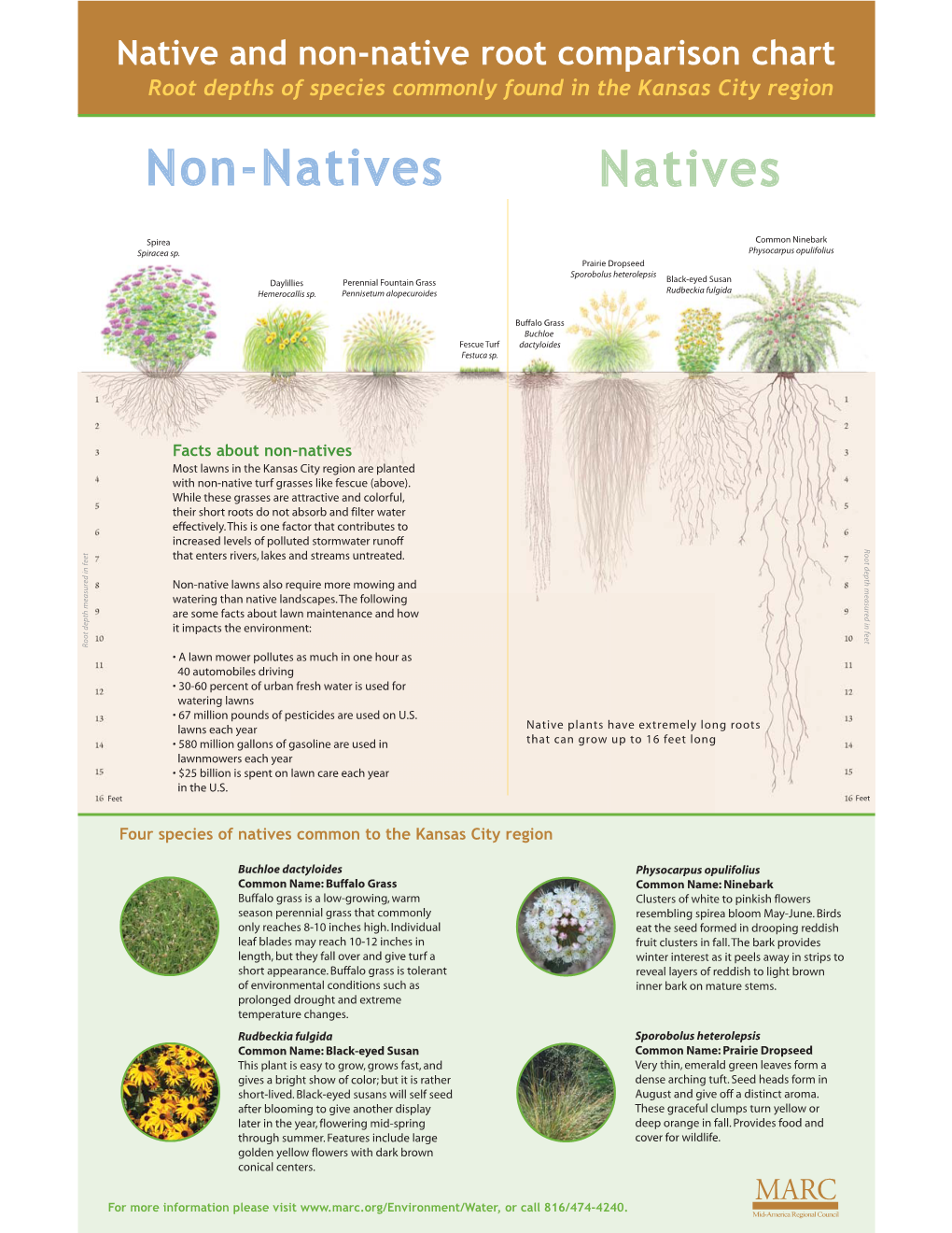 Know Your Roots Brochure