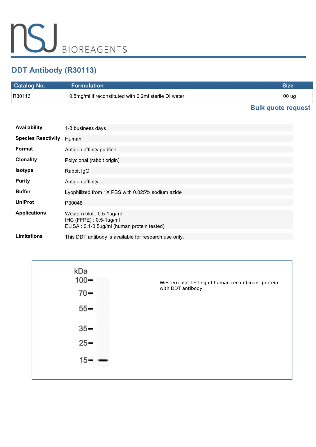 DDT Antibody (R30113)