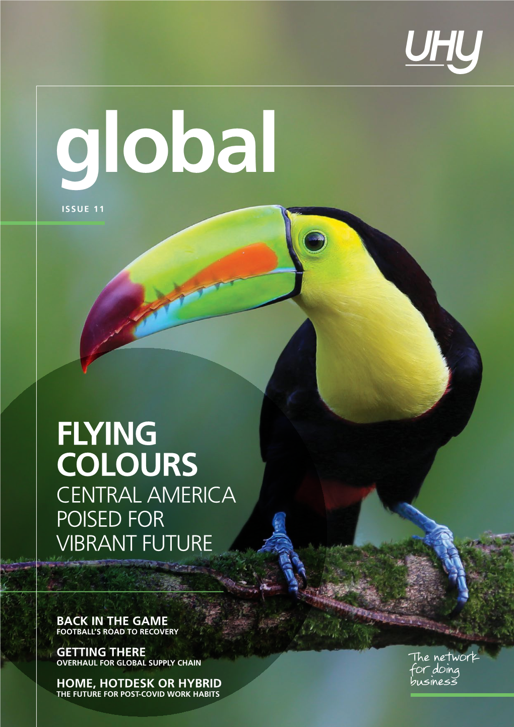 UHY Global Magazine Issue 11: Flying Colours