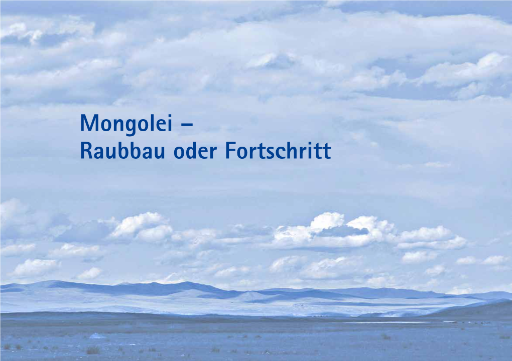 25 Jahre Als Tierarzt in Der Mongolei