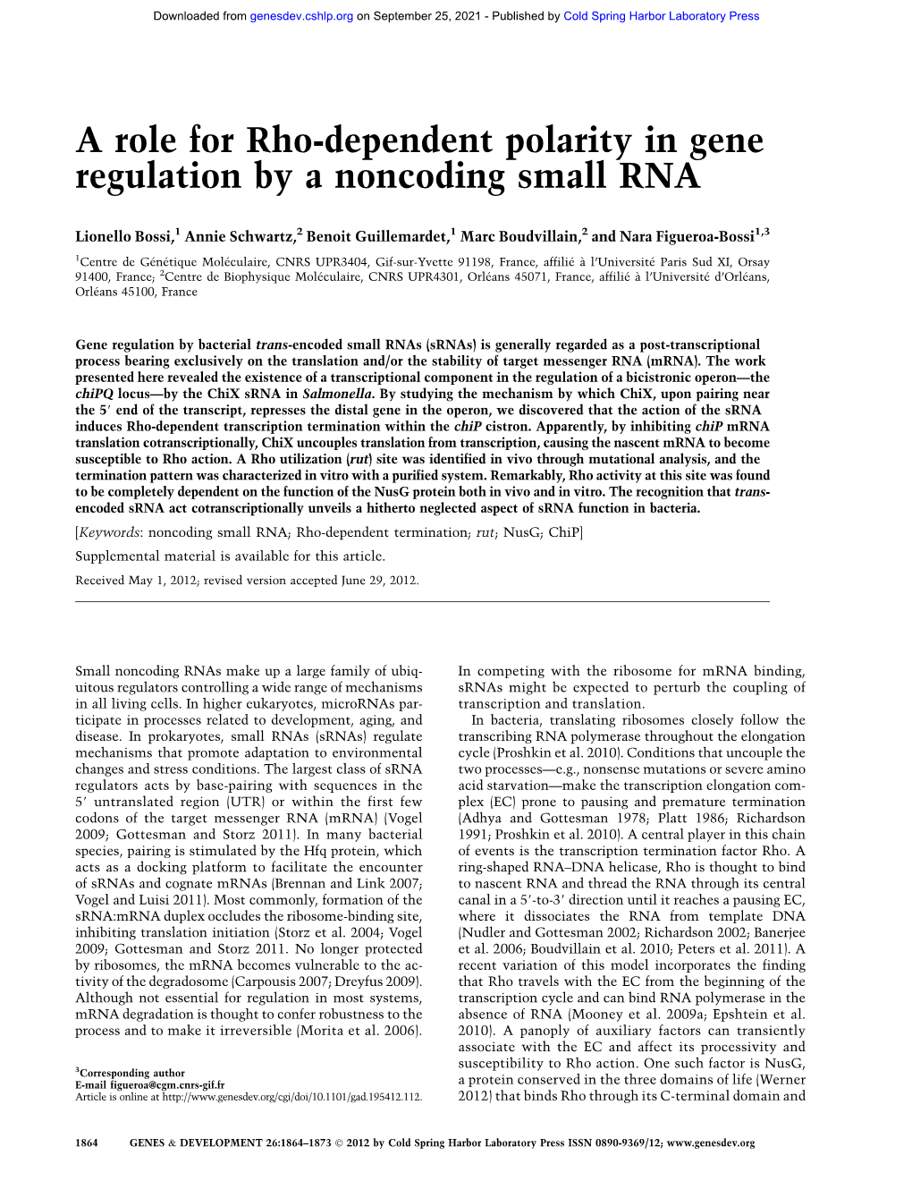 A Role for Rho-Dependent Polarity in Gene Regulation by a Noncoding Small RNA