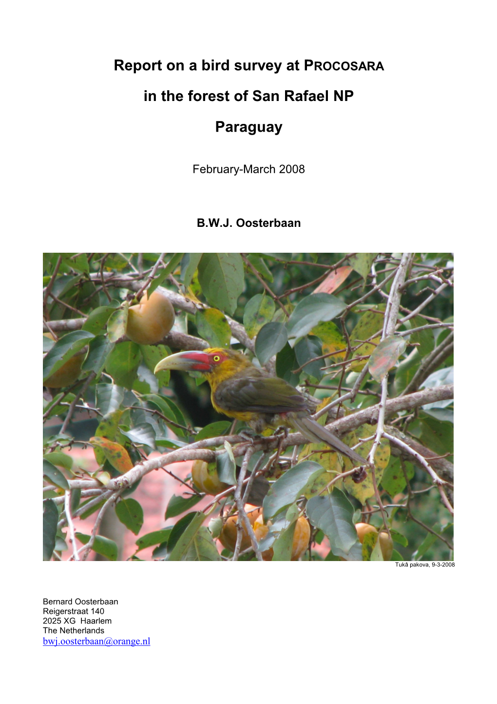 Report on a Bird Survey at PROCOSARA in the Forest of San