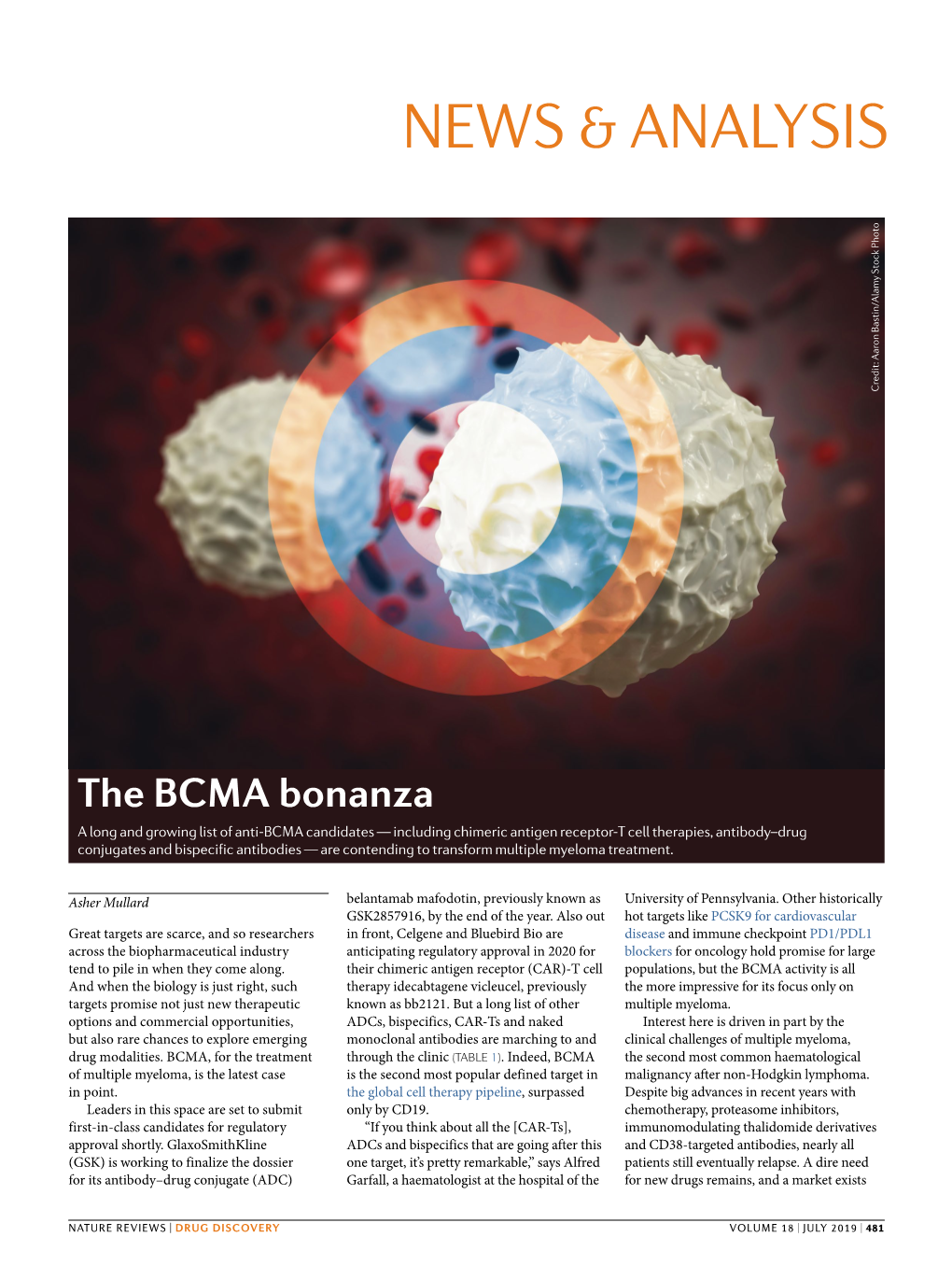 The BCMA Bonanza