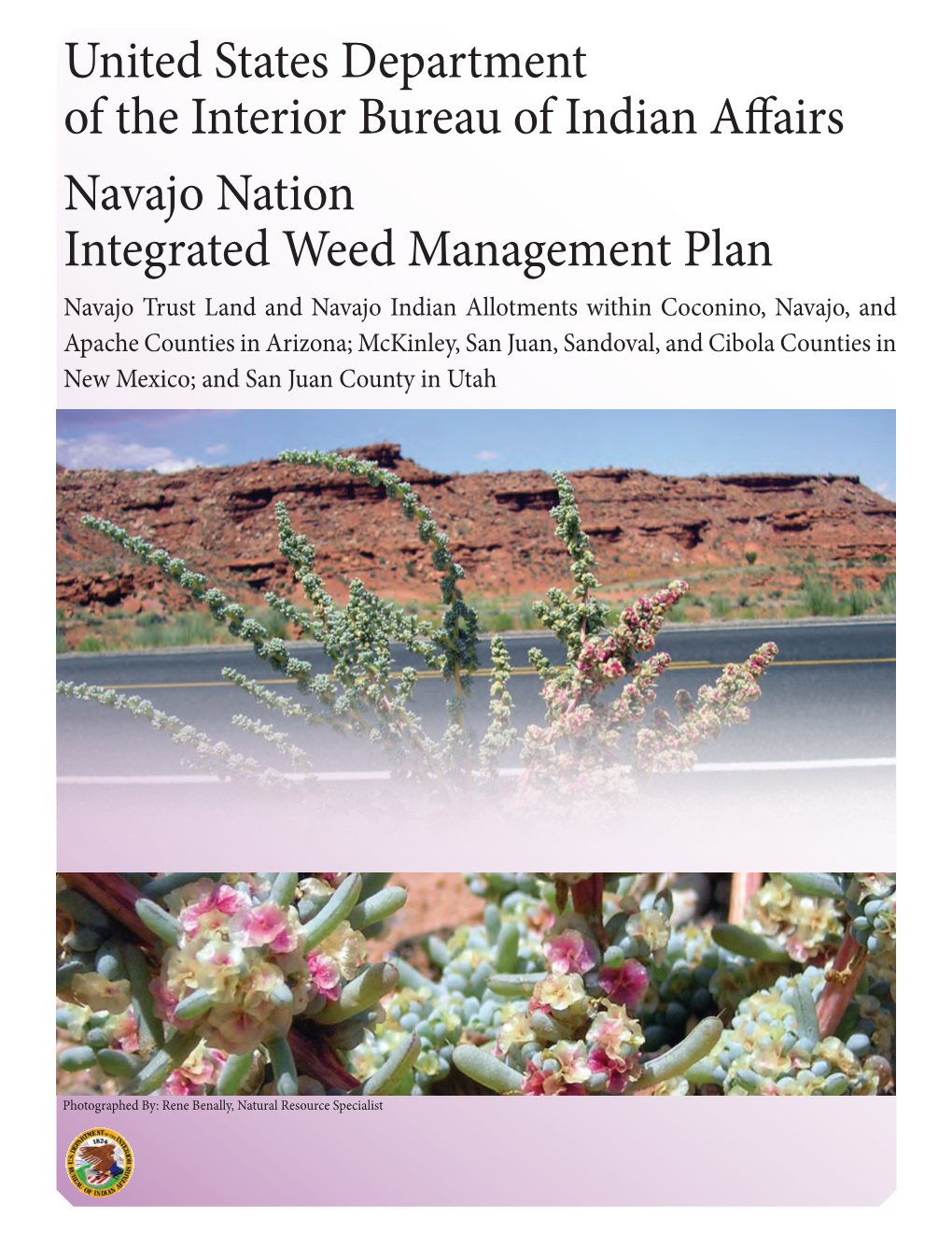 Navajo Nation Integrated Weed Management Plan