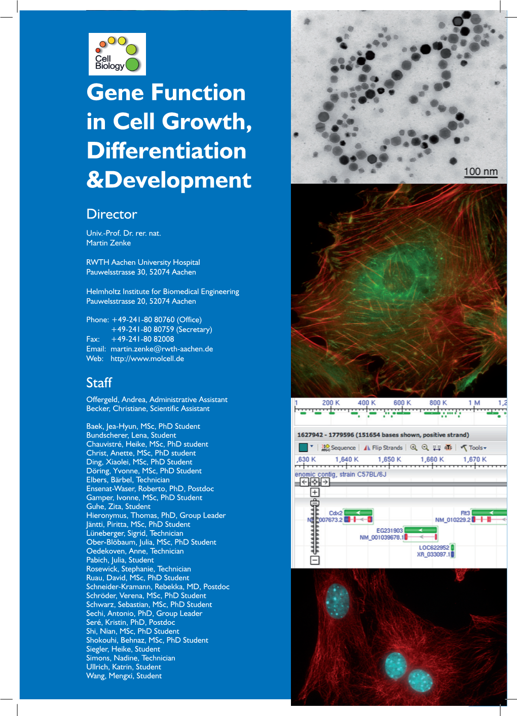 Gene Function in Cell Growth, Differentiation &Development