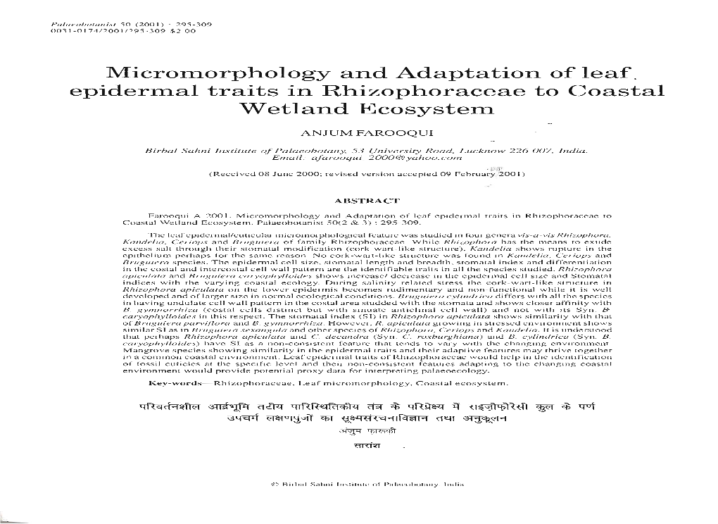 Micromorphology and Adaptation of Leaf. Epidermal Traits in Rhizophoraceae to Coastal Wetland Ecosystem