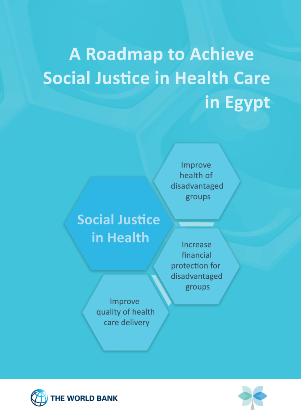 A Roadmap to Achieve Social Justice in Health Care in Egypt