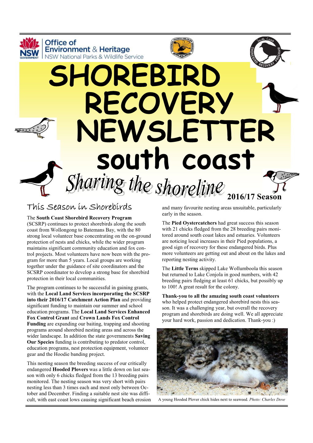 South Coast Shorebird Recovery Program Newsletter 2016/17
