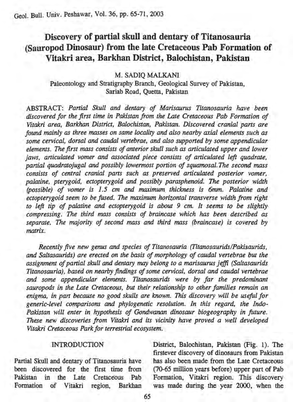 ABSTRACT: Partial Skull and Dentary of Marisaurus