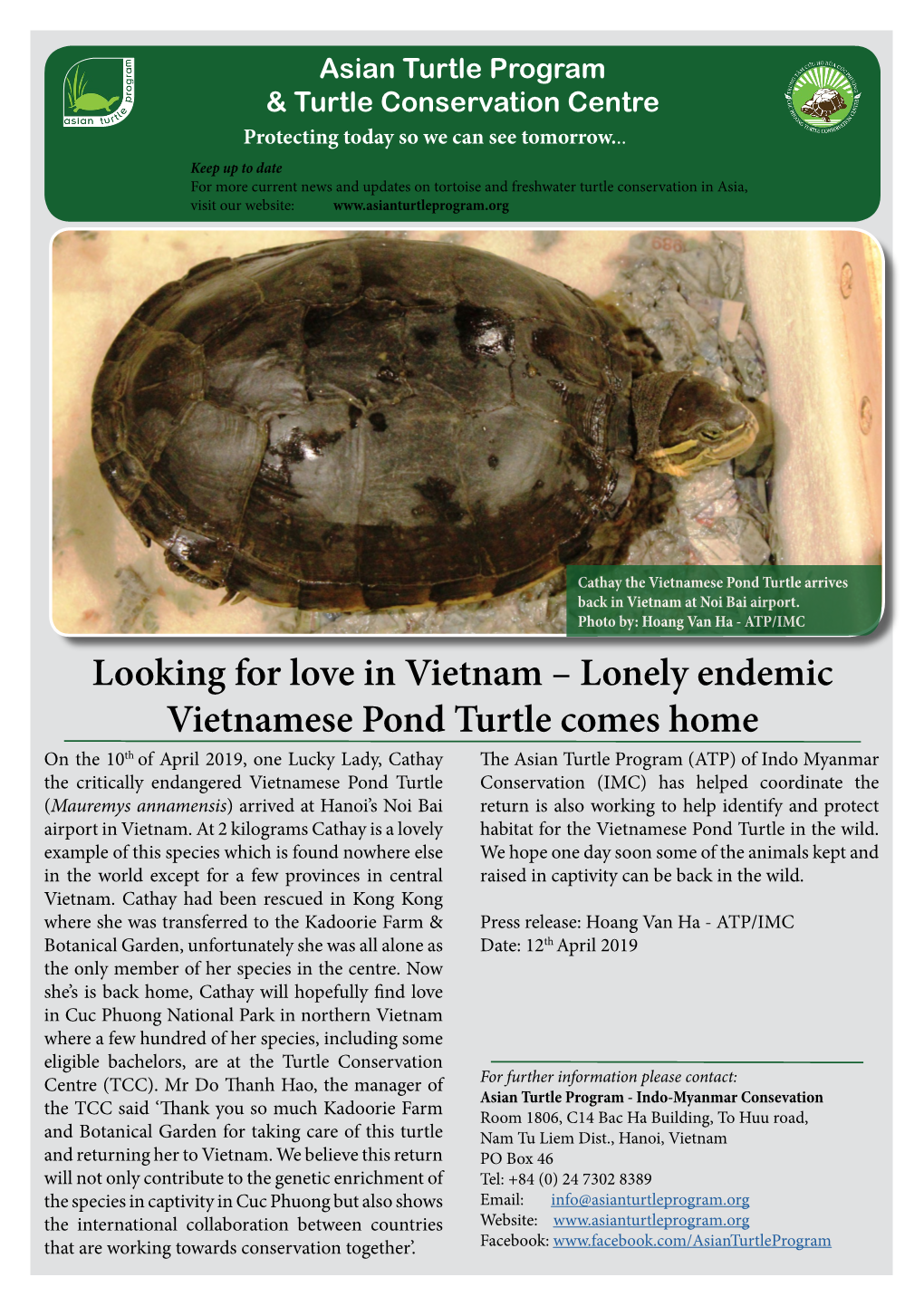 Lonely Endemic Vietnamese Pond Turtle Comes Home