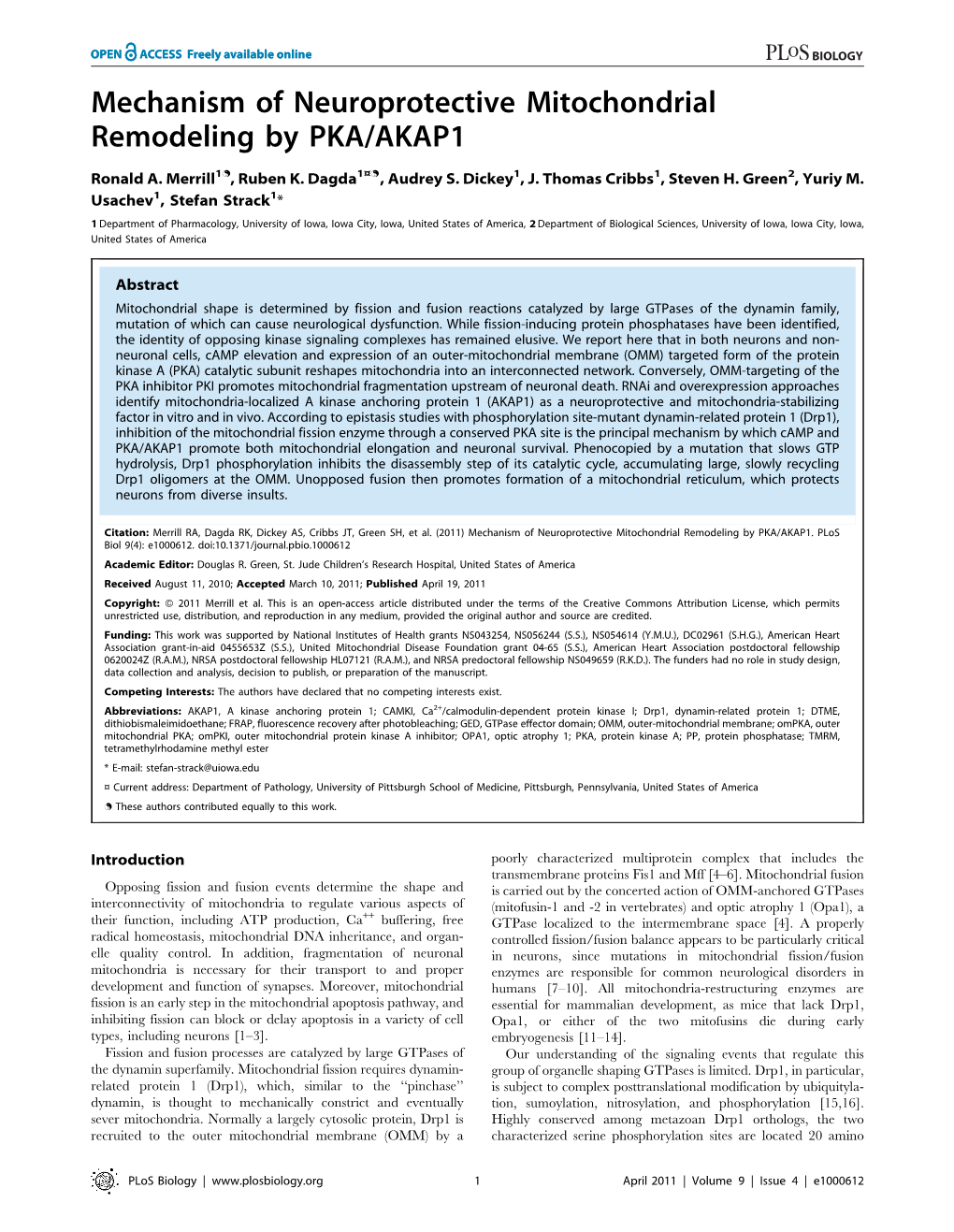 Mechanism of Neuroprotective Mitochondrial Remodeling by PKA/AKAP1