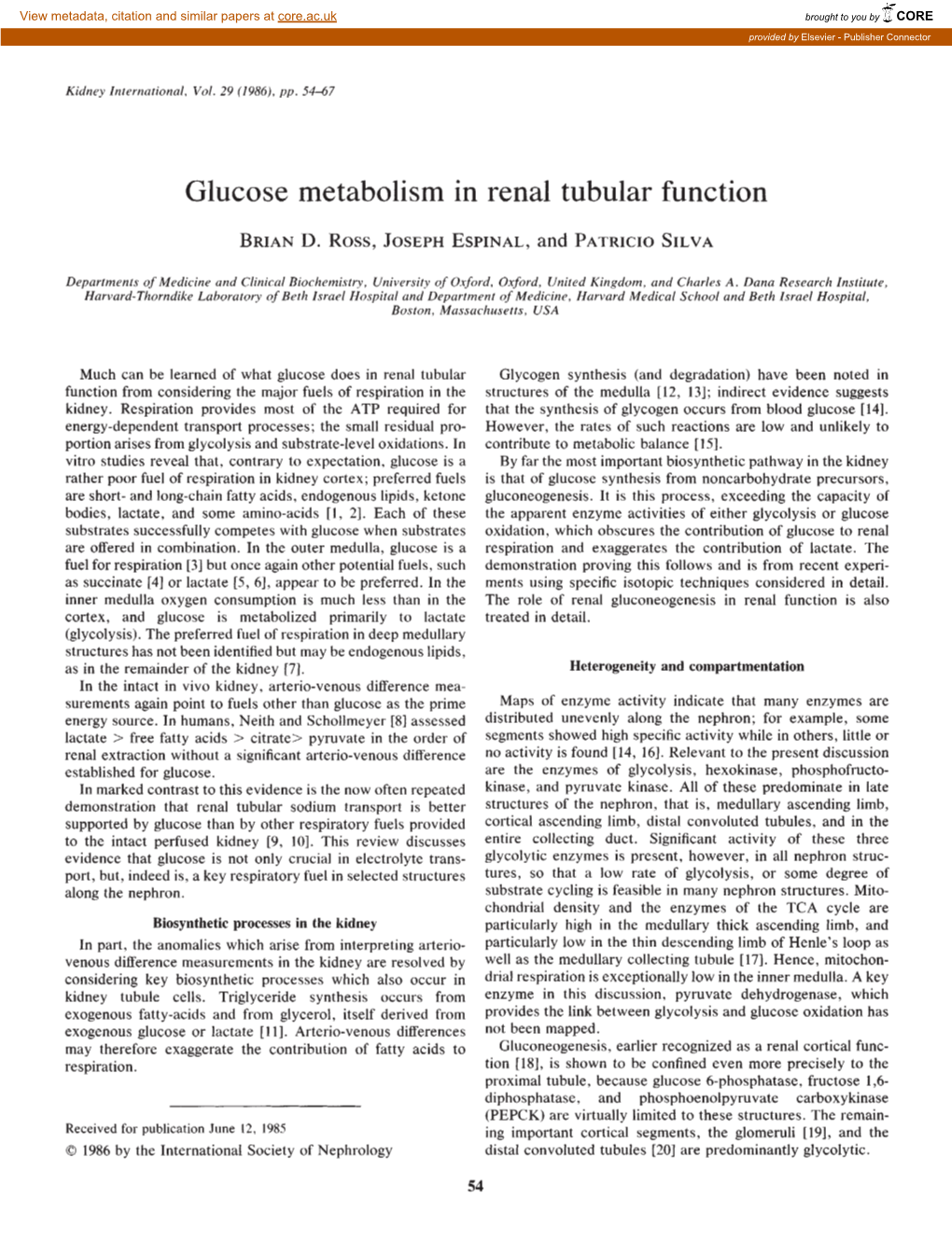 Glucose Metabolism in Renal Tubular Function