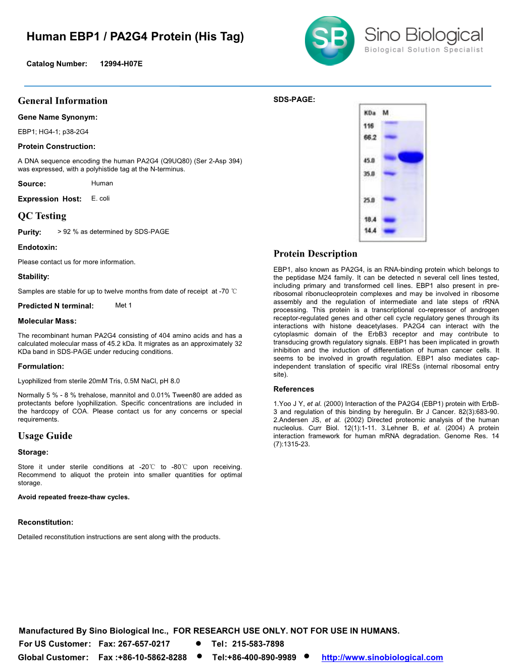 Human EBP1 / PA2G4 Protein (His Tag)