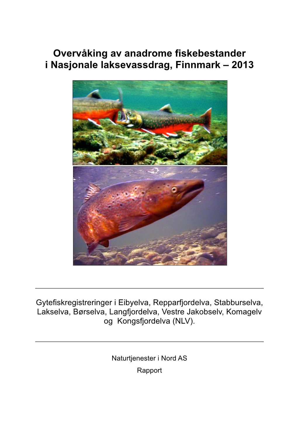 Overvåking Av Anadrome Fiskebestander I Nasjonale Laksevassdrag, Finnmark – 2013