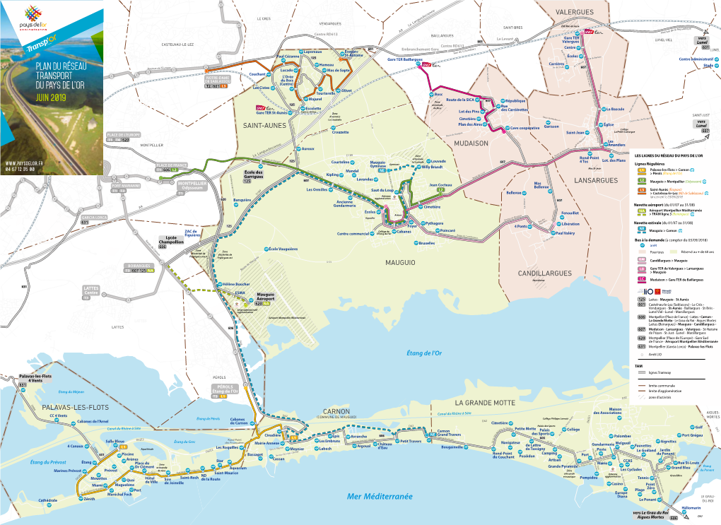 Plan Du Réseau Transport Du PAYS DE L'or JUIN 2019