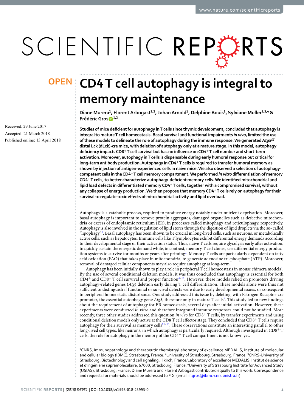CD4 T Cell Autophagy Is Integral to Memory Maintenance