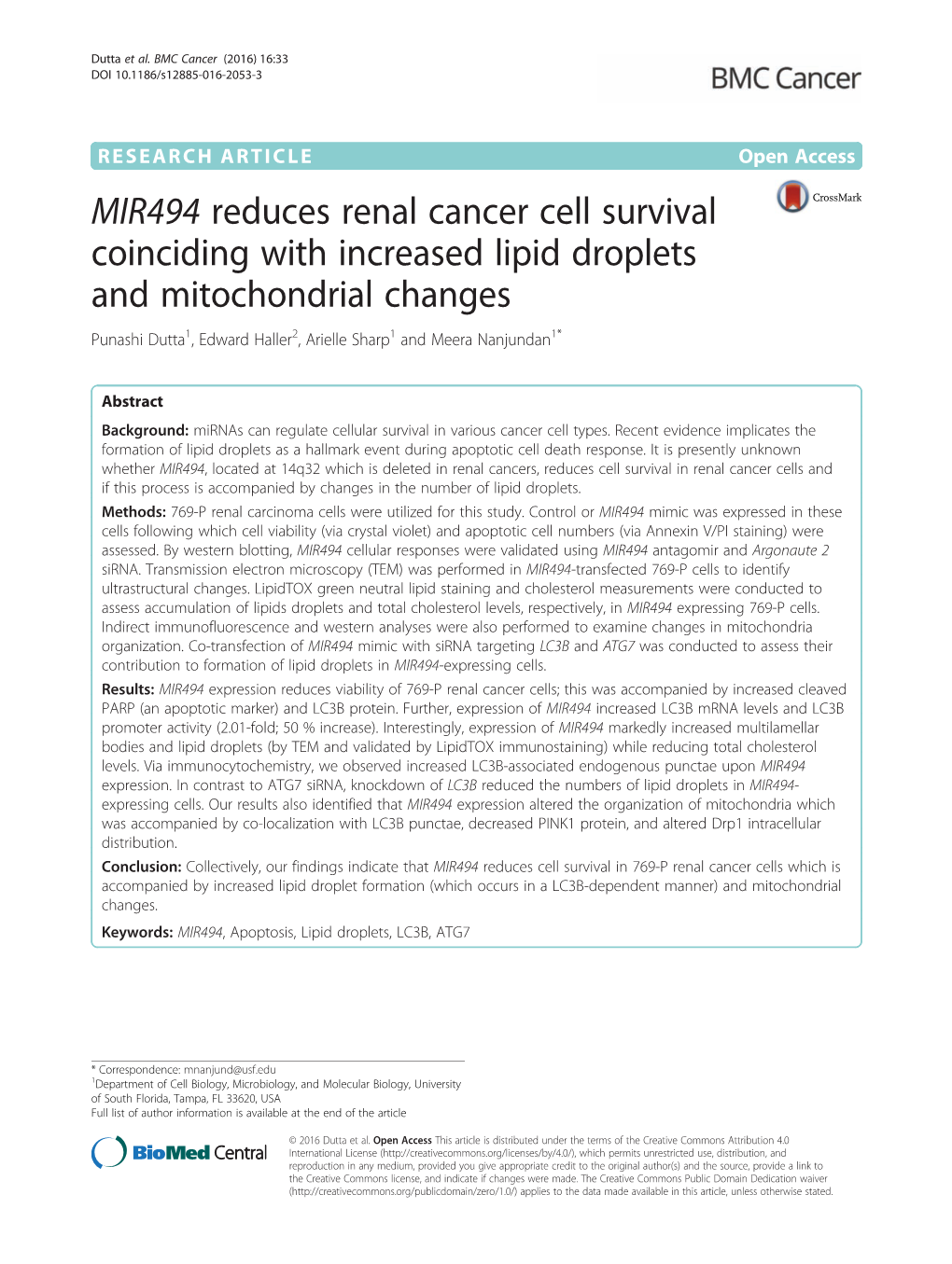 MIR494 Reduces Renal Cancer Cell Survival Coinciding with Increased