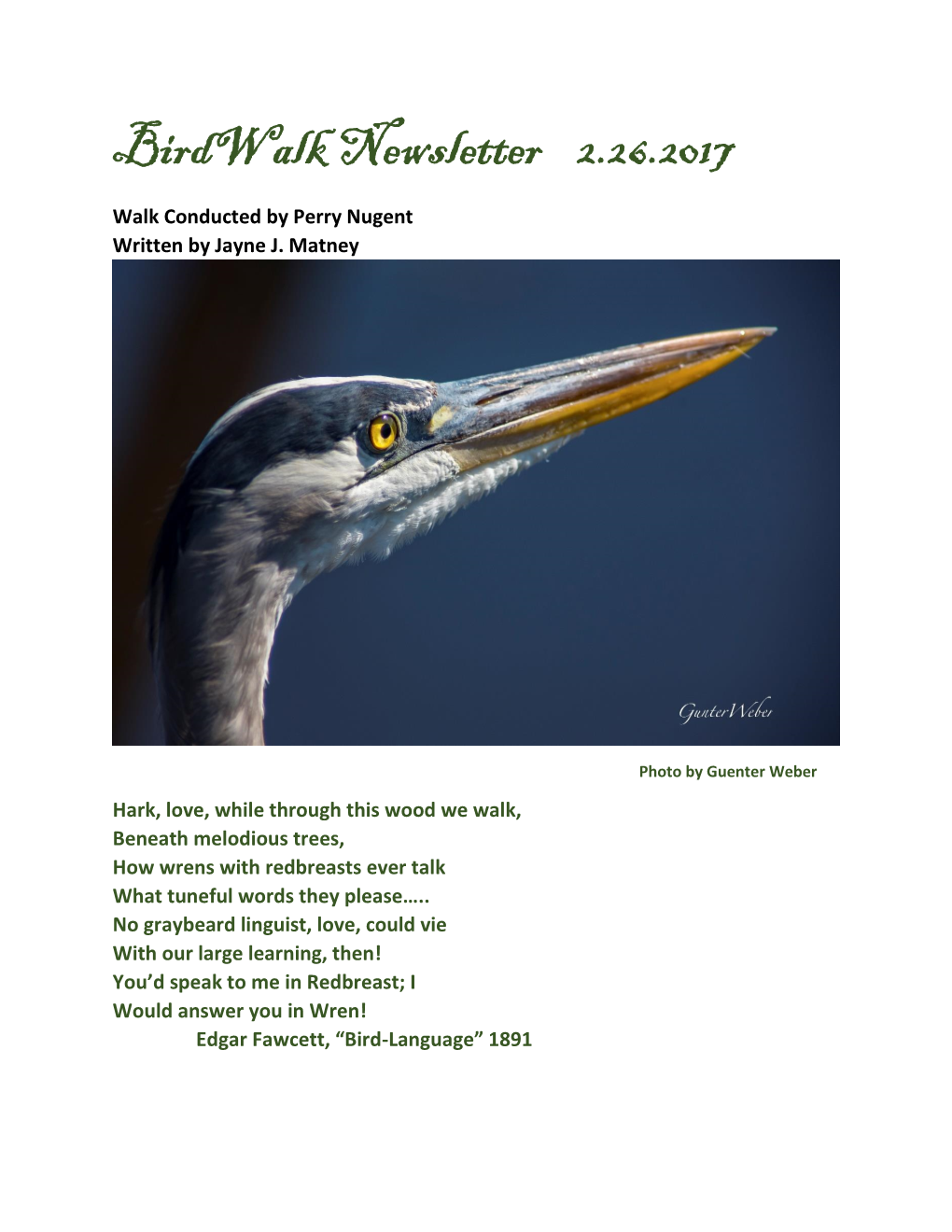 Birdwalk Newsletter 2.26.2017