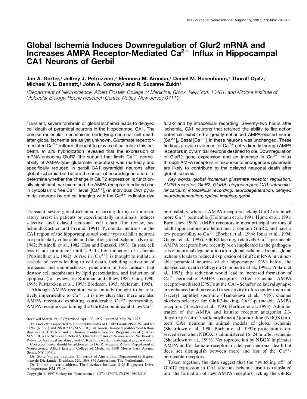 Global Ischemia Induces Downregulation of Glur2 Mrna and Increases AMPA Receptor-Mediated Ca2؉ Inﬂux in Hippocampal CA1 Neurons of Gerbil