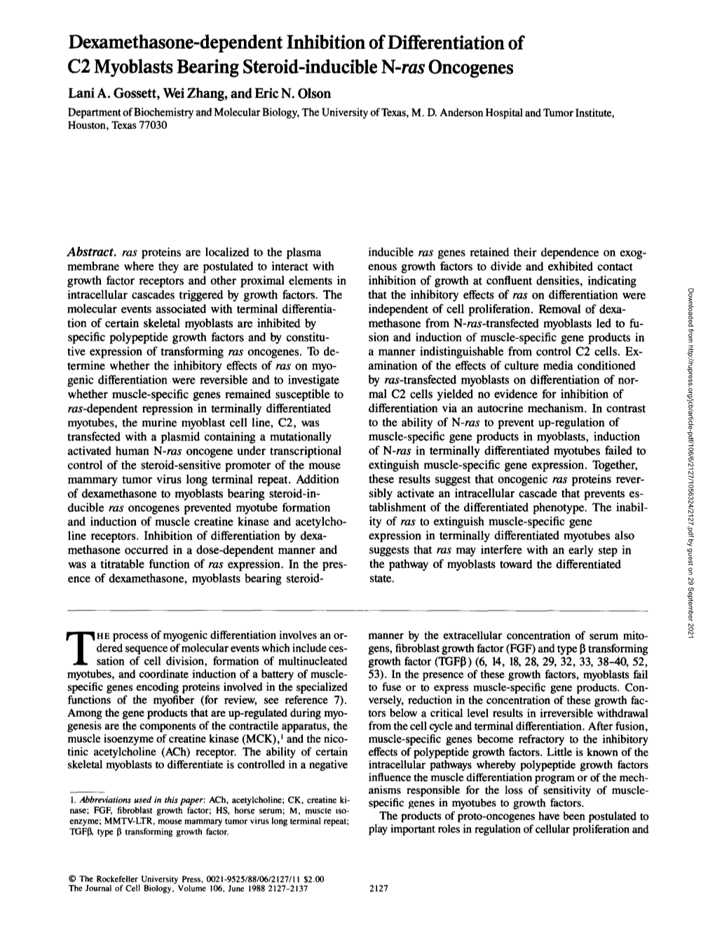Dexamethasone-Dependent Inhibition of Differentiation of C2 Myoblasts Bearing Steroid-Inducible N-Ras Oncogenes Lani A