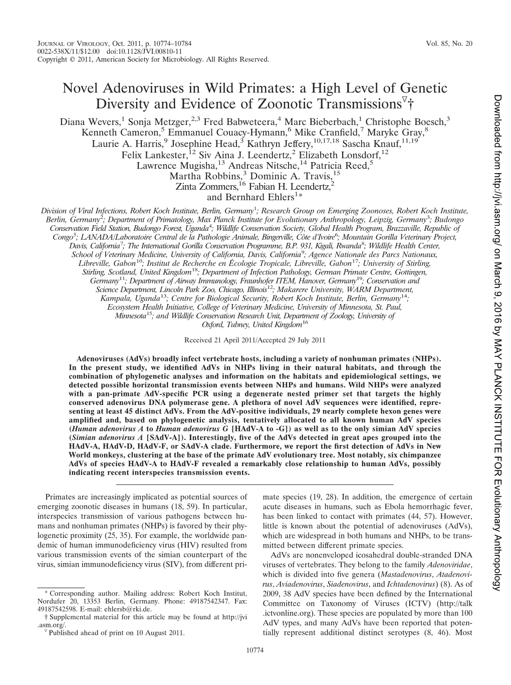 Novel Adenoviruses in Wild Primates