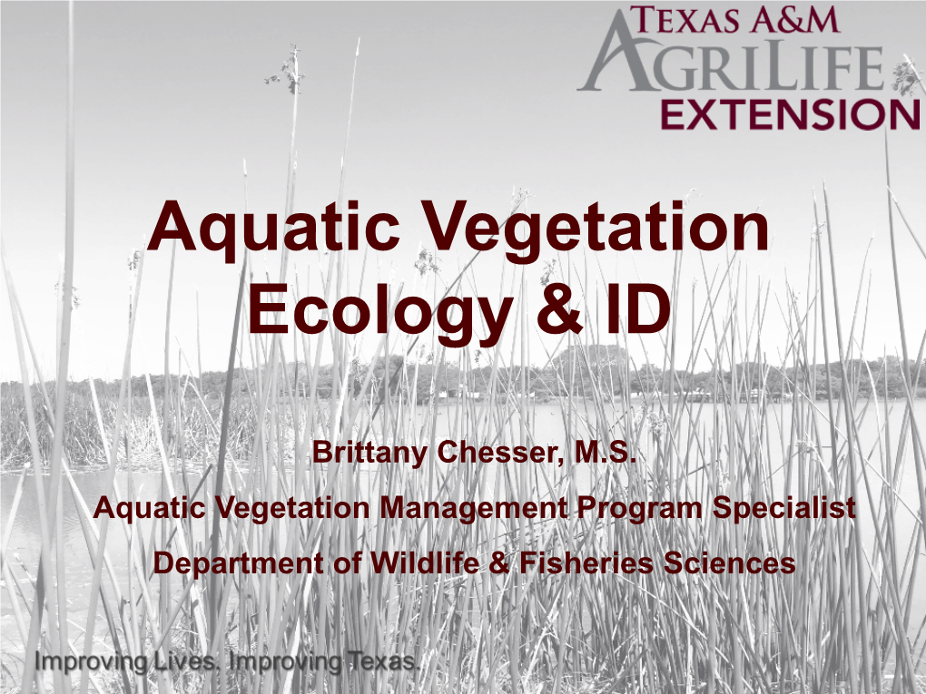 2019 Aquatic Vegetation