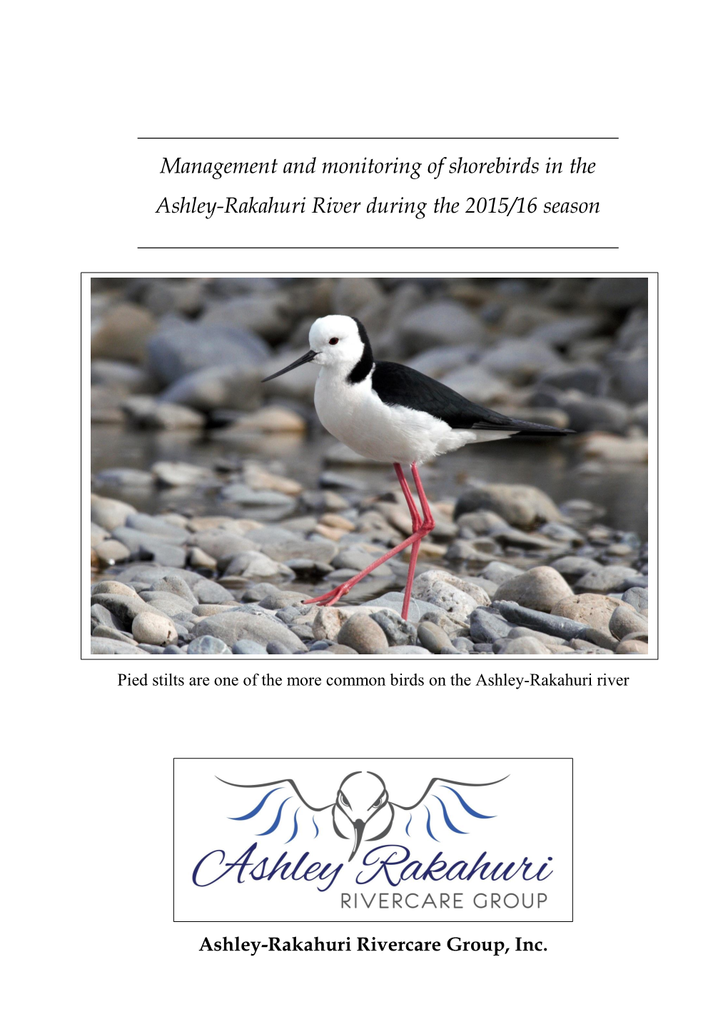 Report on Monitoring of Shorebirds In