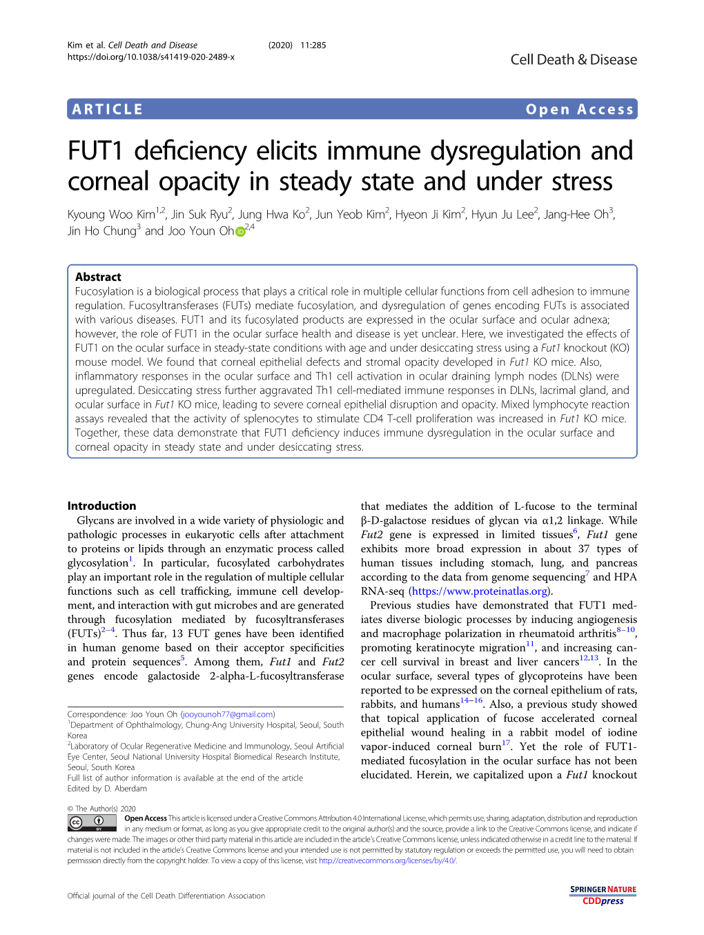 FUT1 Deficiency Elicits Immune Dysregulation and Corneal Opacity