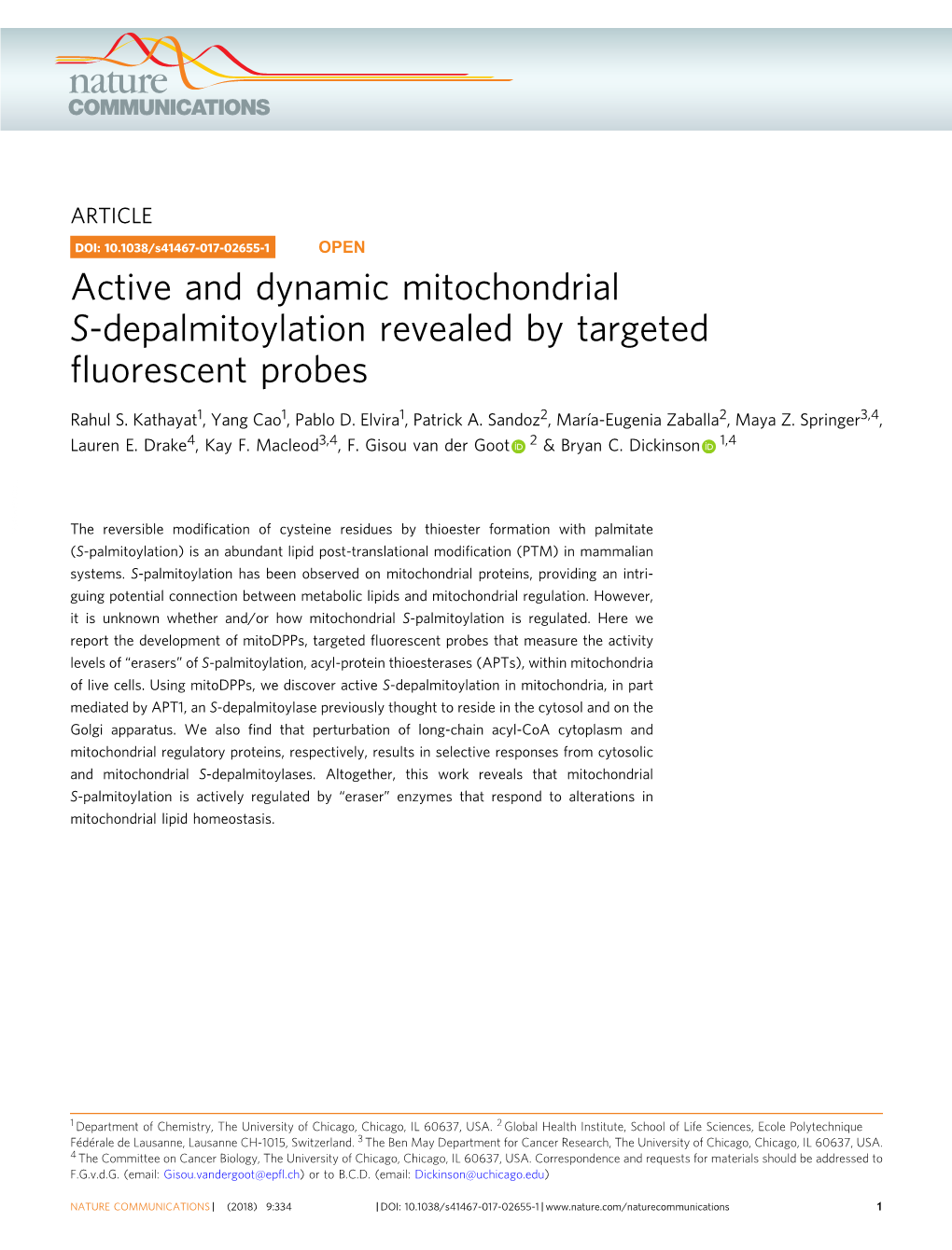 Active and Dynamic Mitochondrial S-Depalmitoylation Revealed by Targeted ﬂuorescent Probes