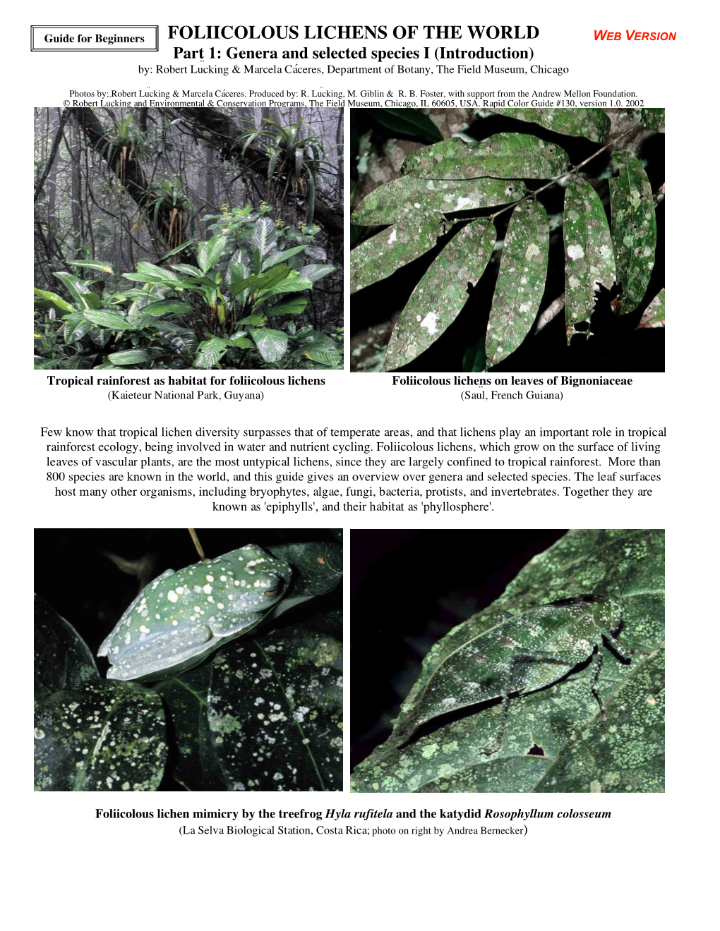 Foliicolous Lichens of the World