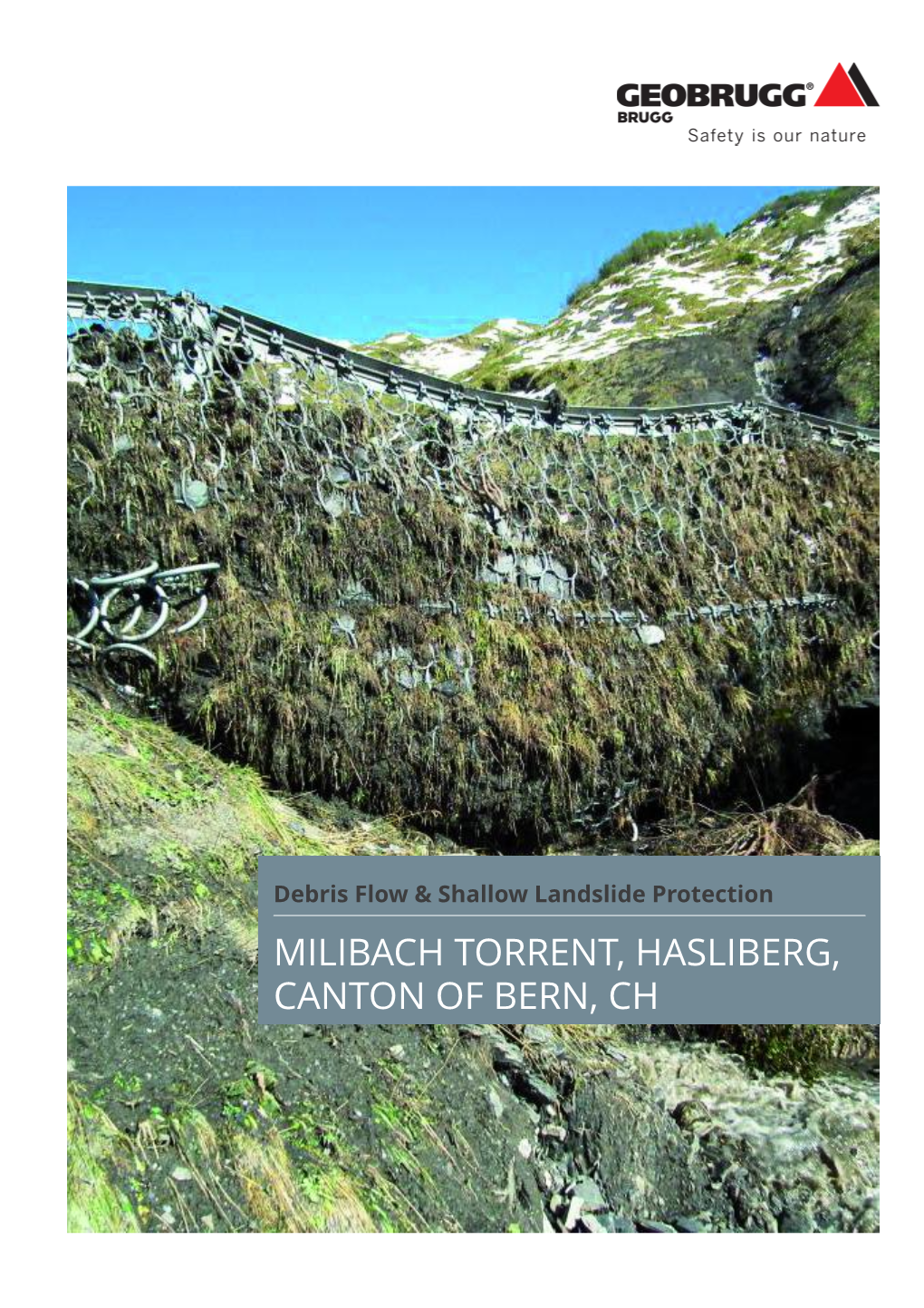 Milibach Torrent, Hasliberg, Canton of Bern, Ch Milibach Torrent, Hasliberg, Canton of Bern