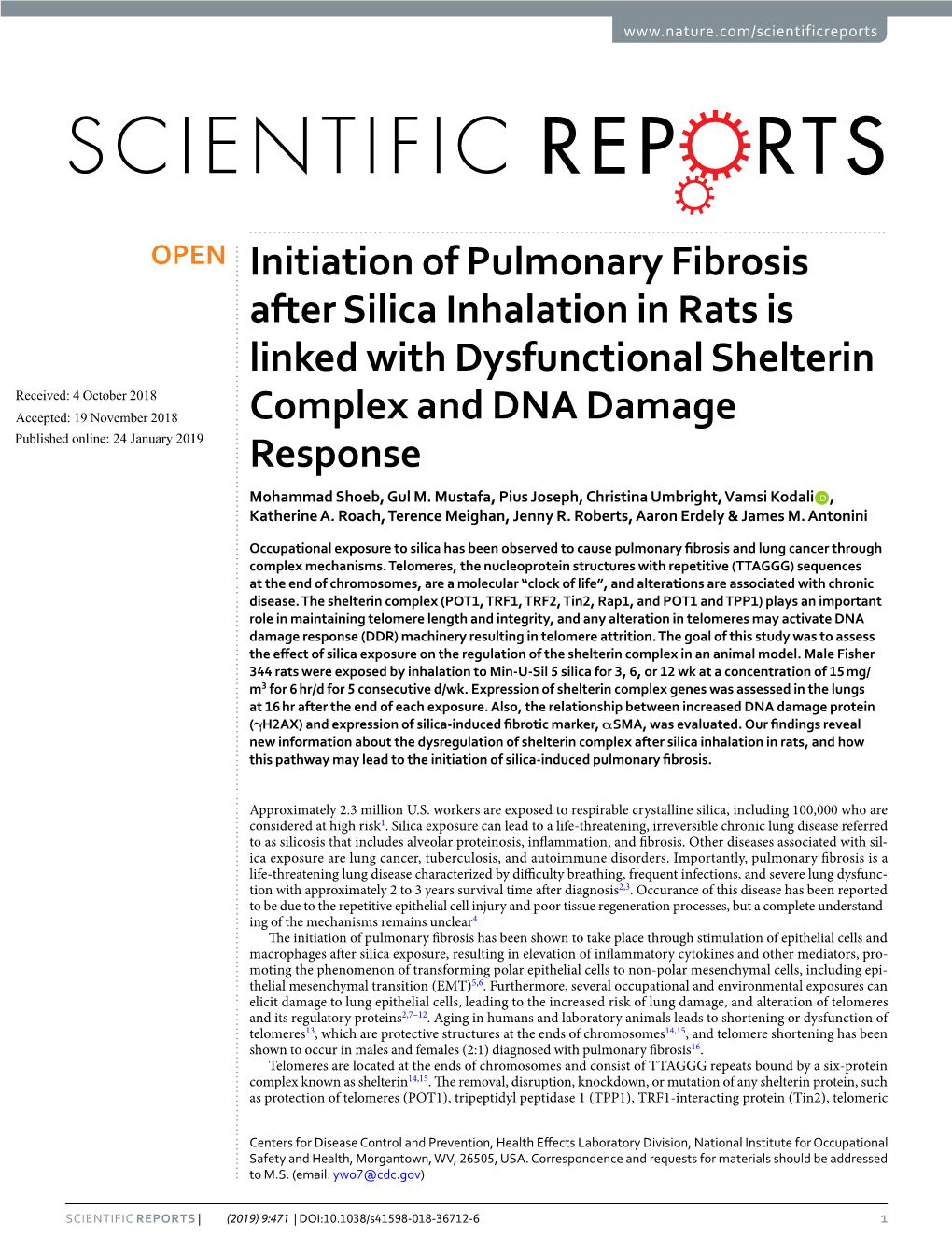 Initiation of Pulmonary Fibrosis After Silica Inhalation in Rats Is Linked