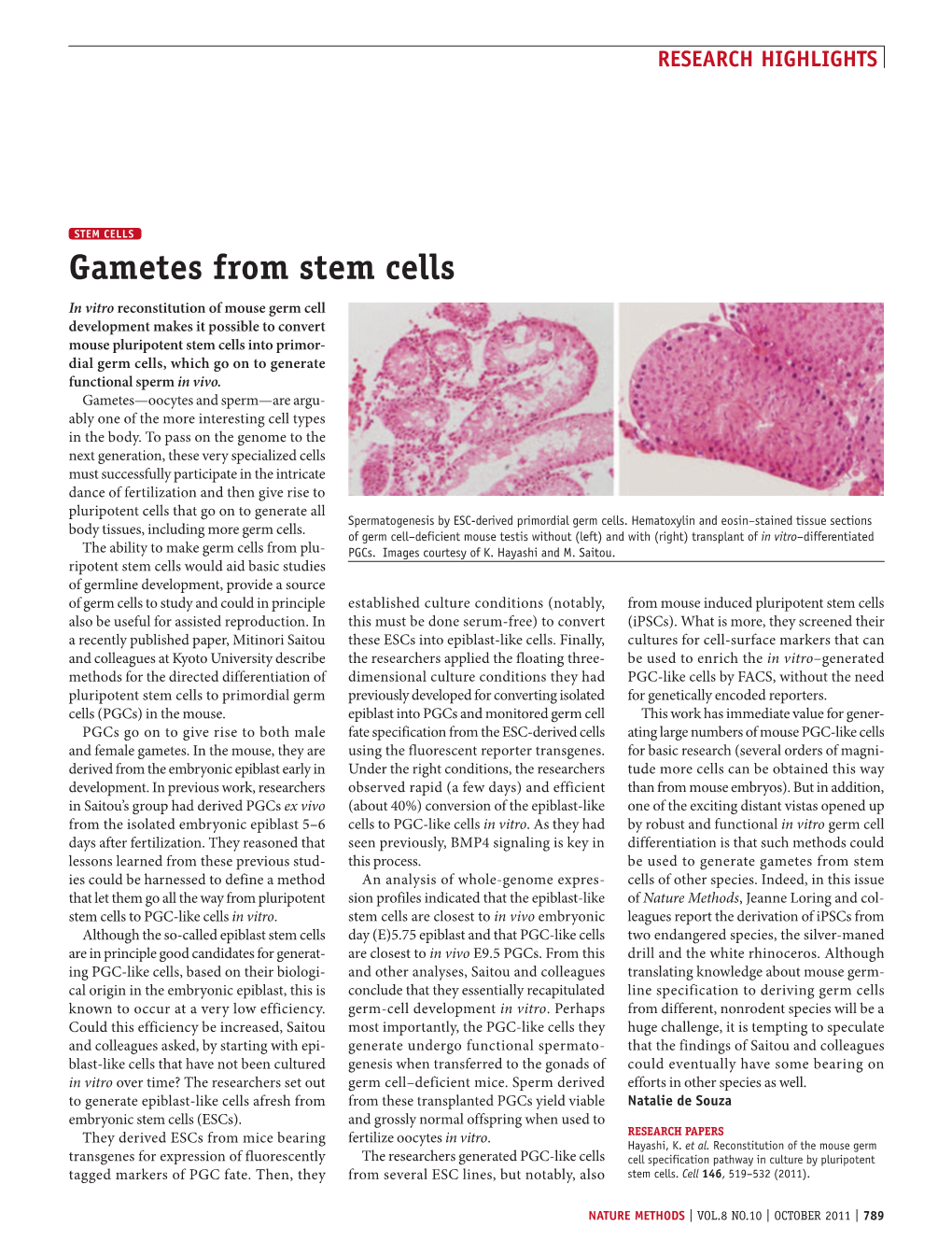 Gametes from Stem Cells