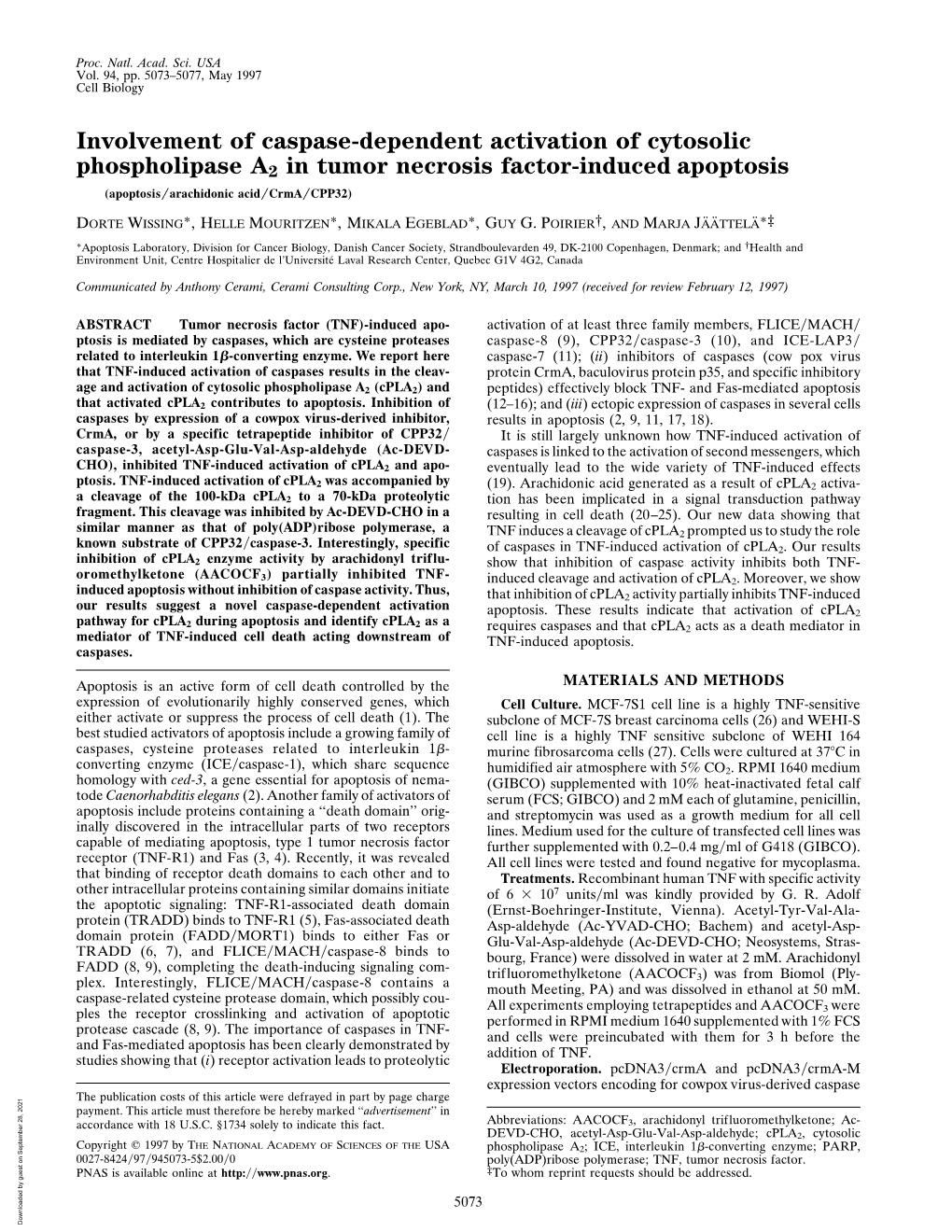 Involvement of Caspase-Dependent Activation of Cytosolic Phospholipase A2 in Tumor Necrosis Factor-Induced Apoptosis (Apoptosis͞arachidonic Acid͞crma͞cpp32)